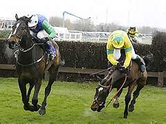 horse