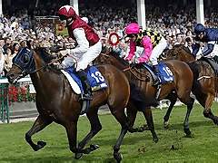 horse