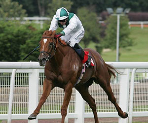 horse