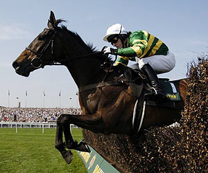 horse