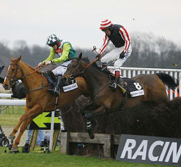 horse